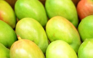 El Mango es una de las frutas más queridas de los países tropicales.
