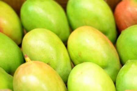 El Mango es una de las frutas más queridas de los países tropicales.