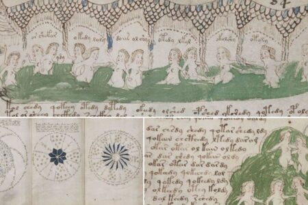 manuscrito voynich