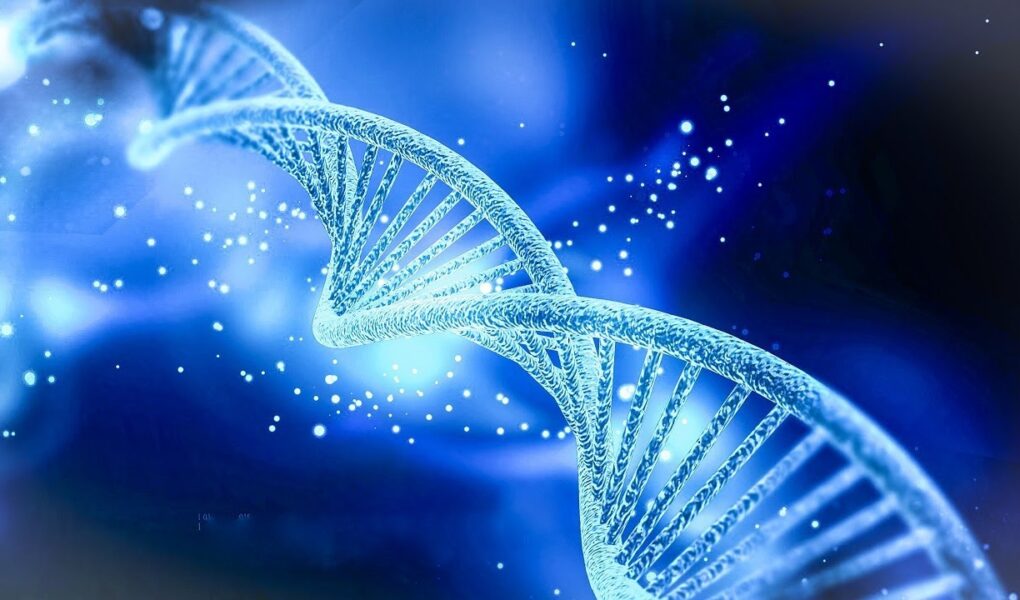 curiosidades del ADN