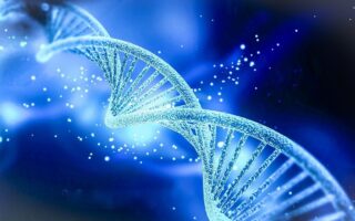 curiosidades del ADN