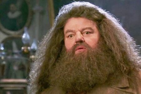 ¿quién es rubeus hagrid?