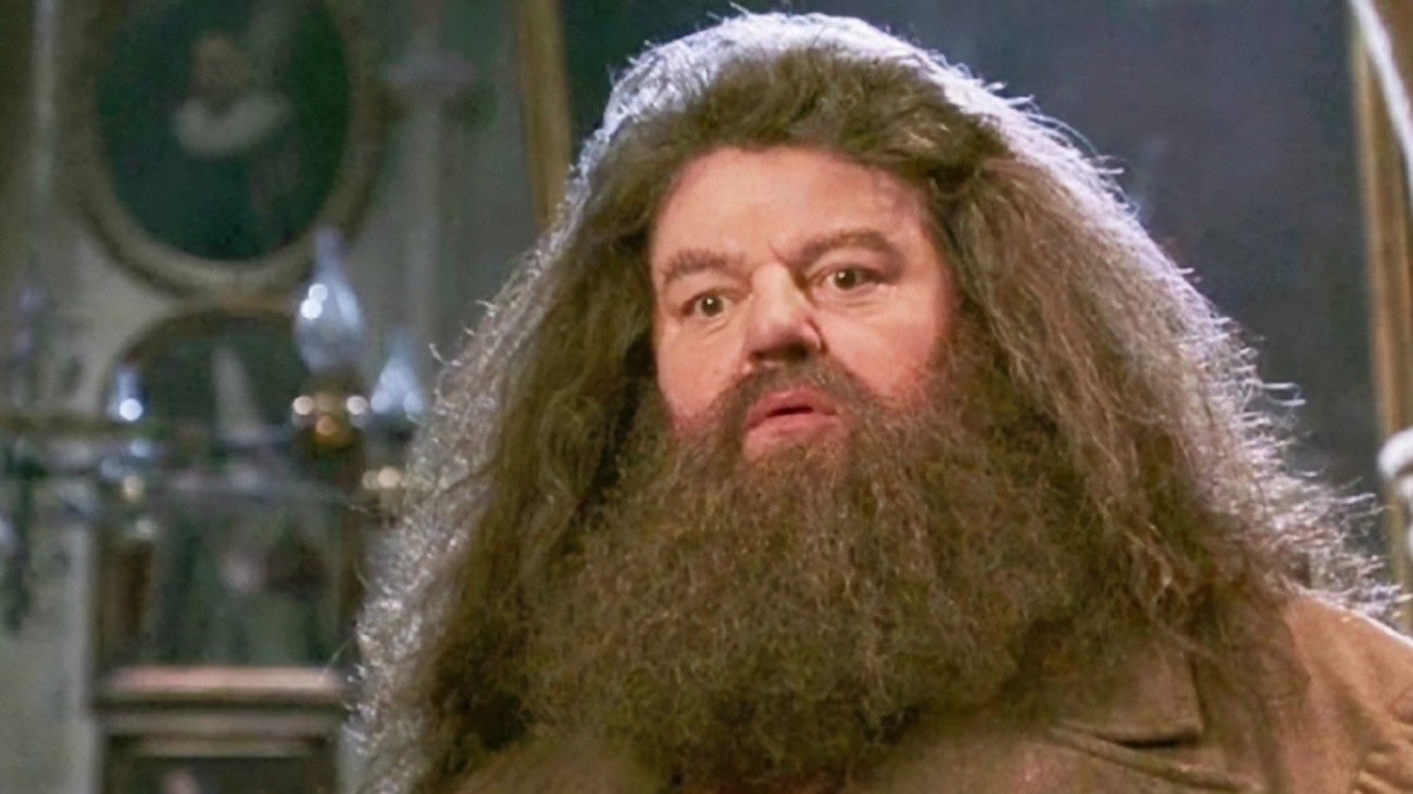 ¿Quién Es Rubeus Hagrid?