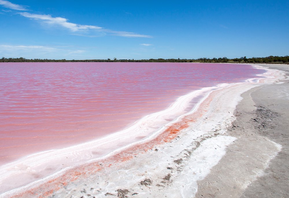 lago rosa de Australia
