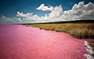 lago rosa de Australia