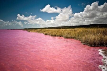 lago rosa de Australia