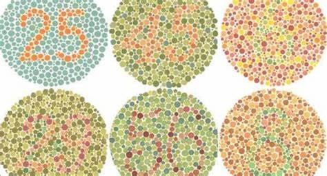 ¿qué es el daltonismo?