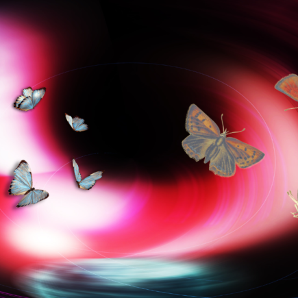 ¿Qué es el efecto mariposa? ejemplos